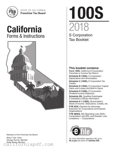 Fill a Valid California 100S Form